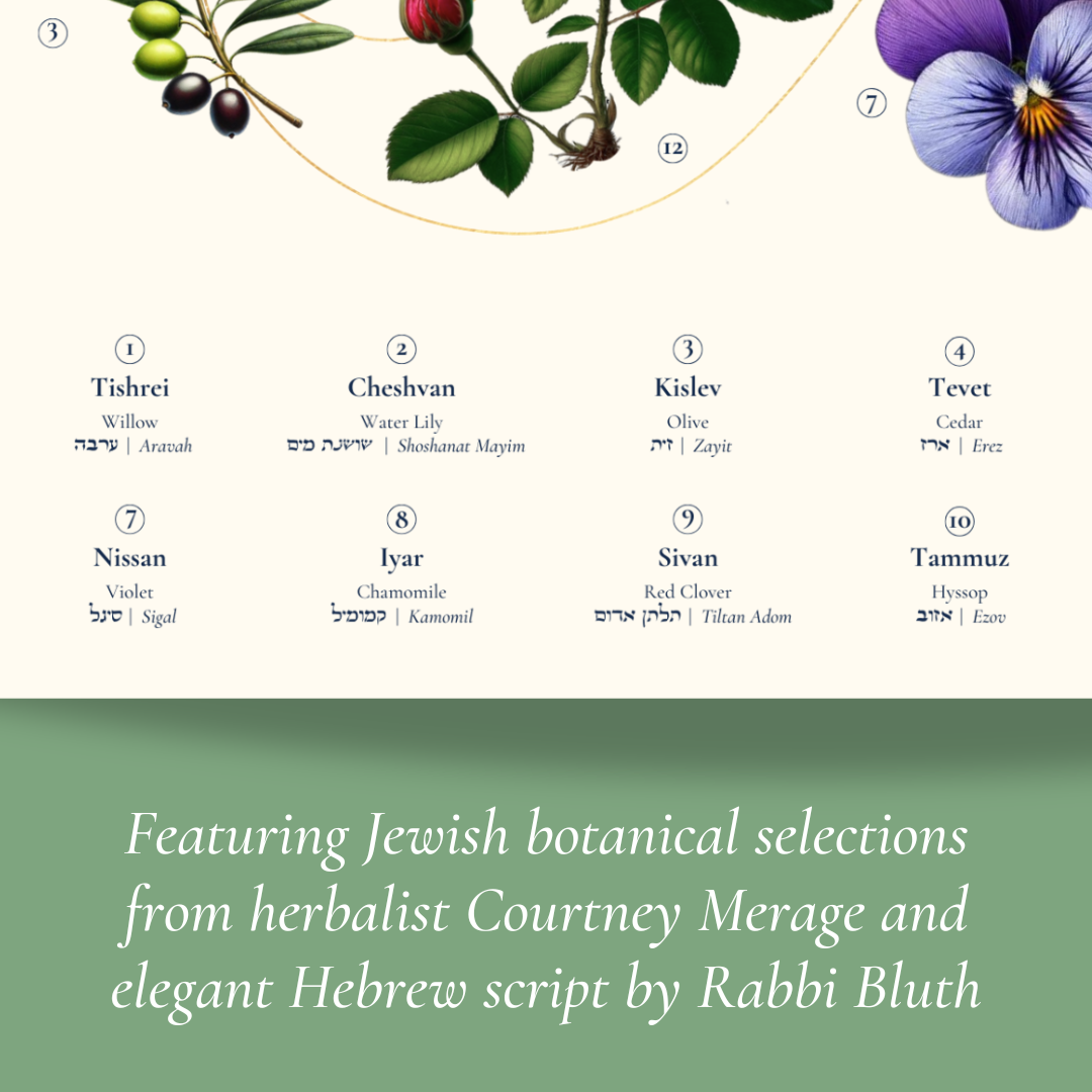 “Botanicals of the Hebrew Months” Art Poster
