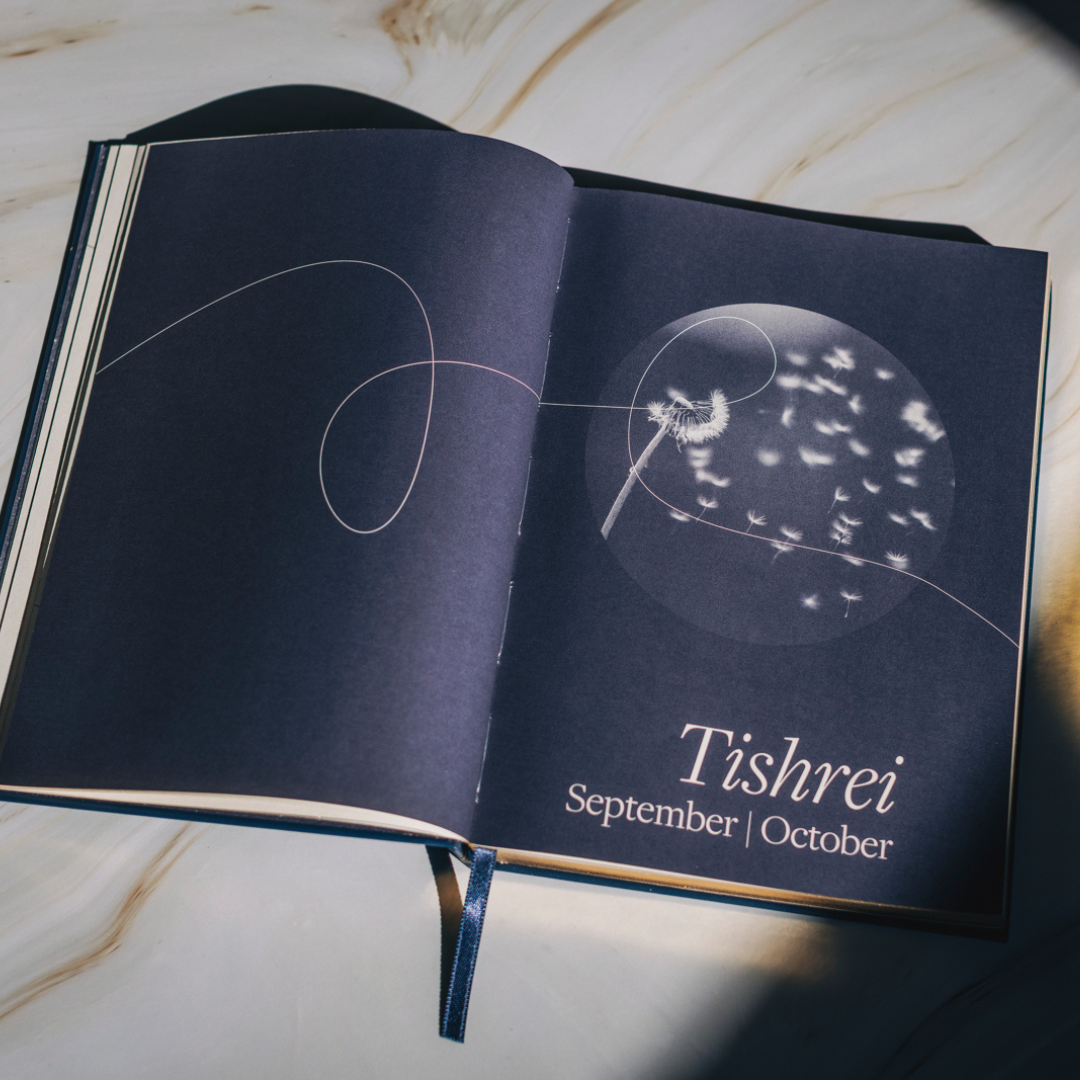 Moon by Moon: A Guided Journal for a Year of Well-Being