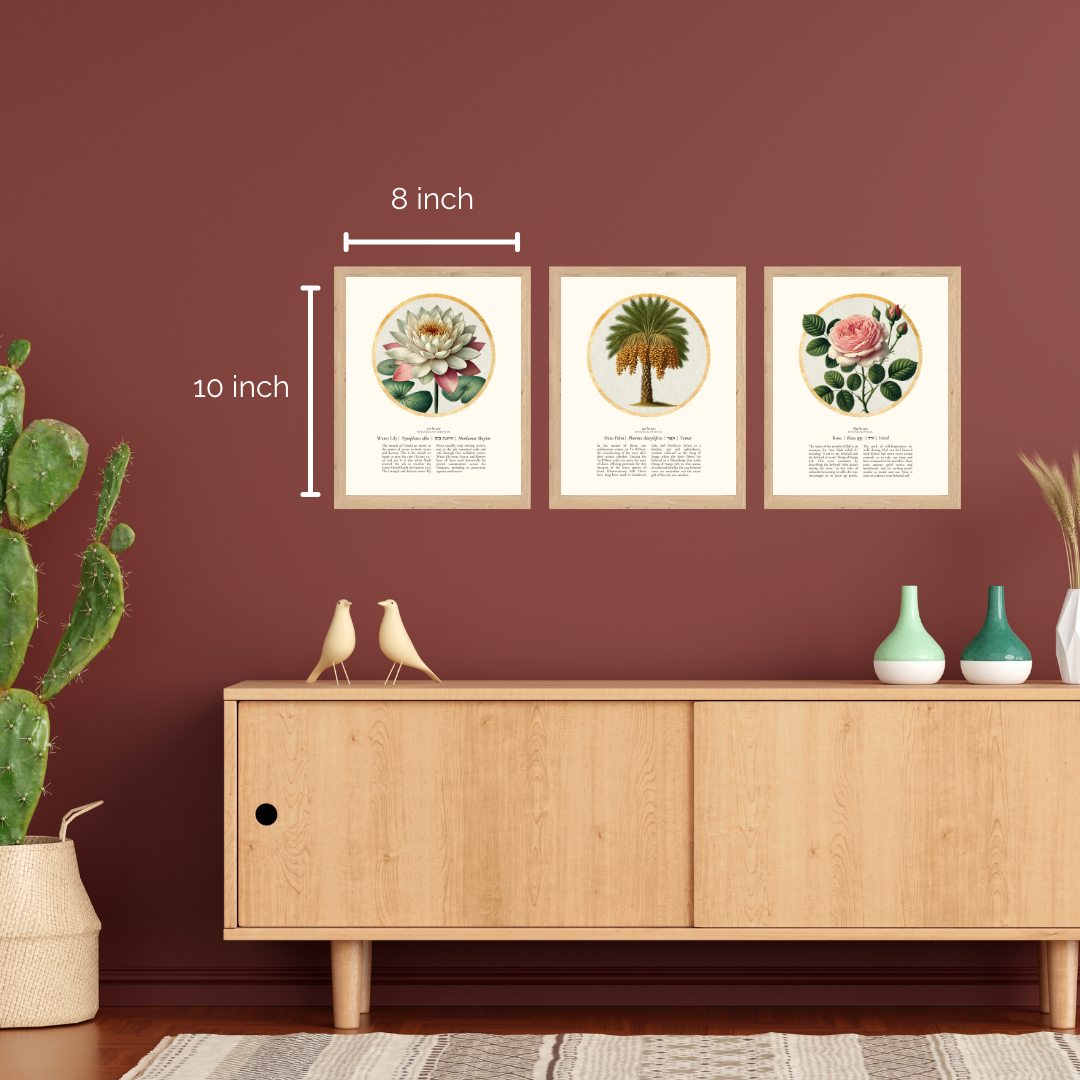 “Water Lily - Botanical of Cheshvan” Art Print