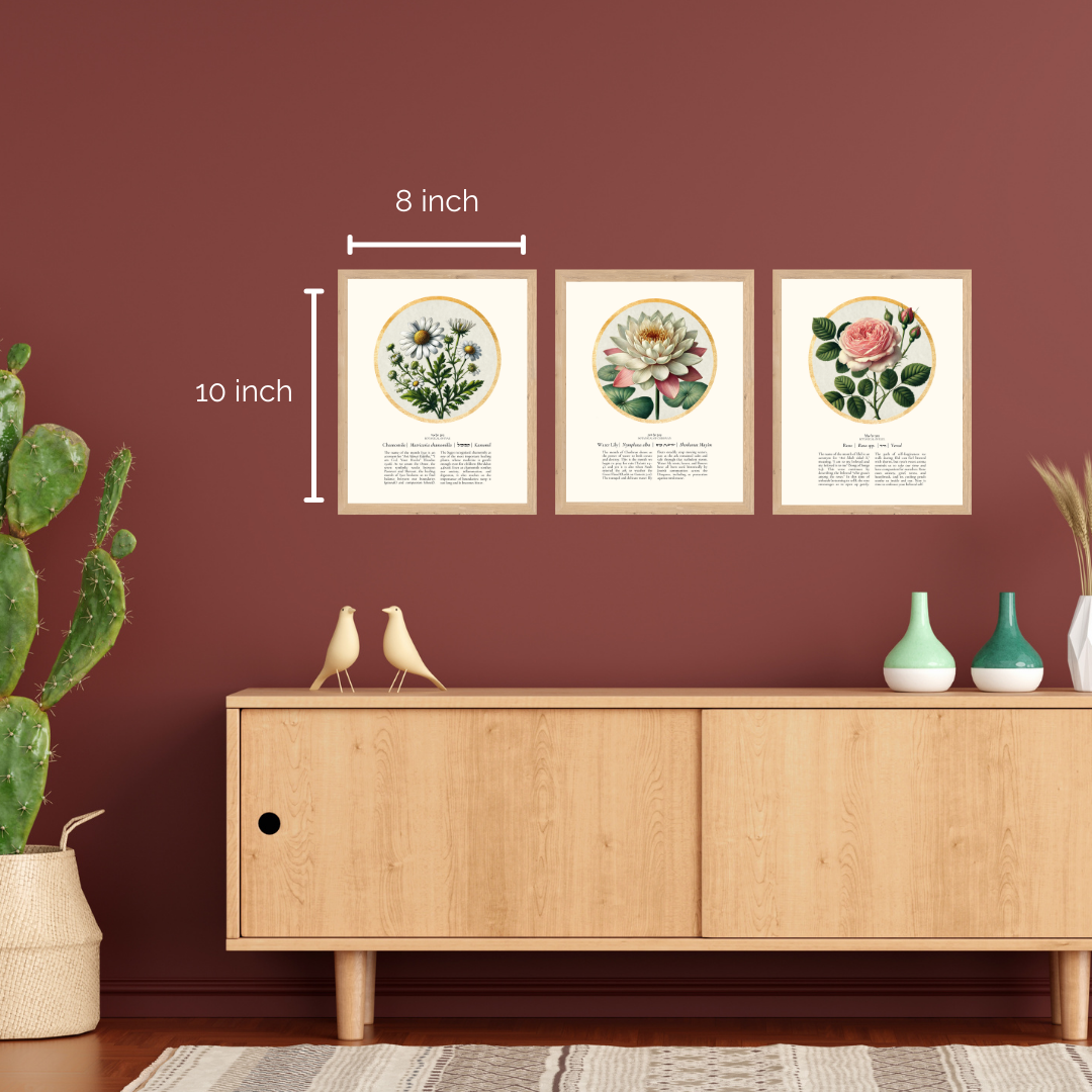 “Chamomile - Botanical of Iyar” Art Print