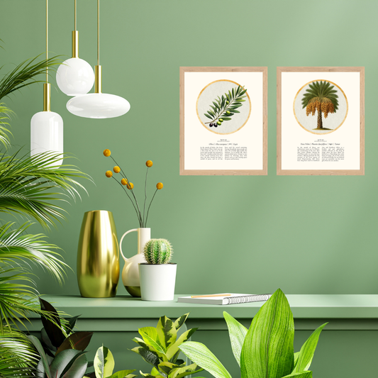 “Olive - Botanical of Kislev” Art Print