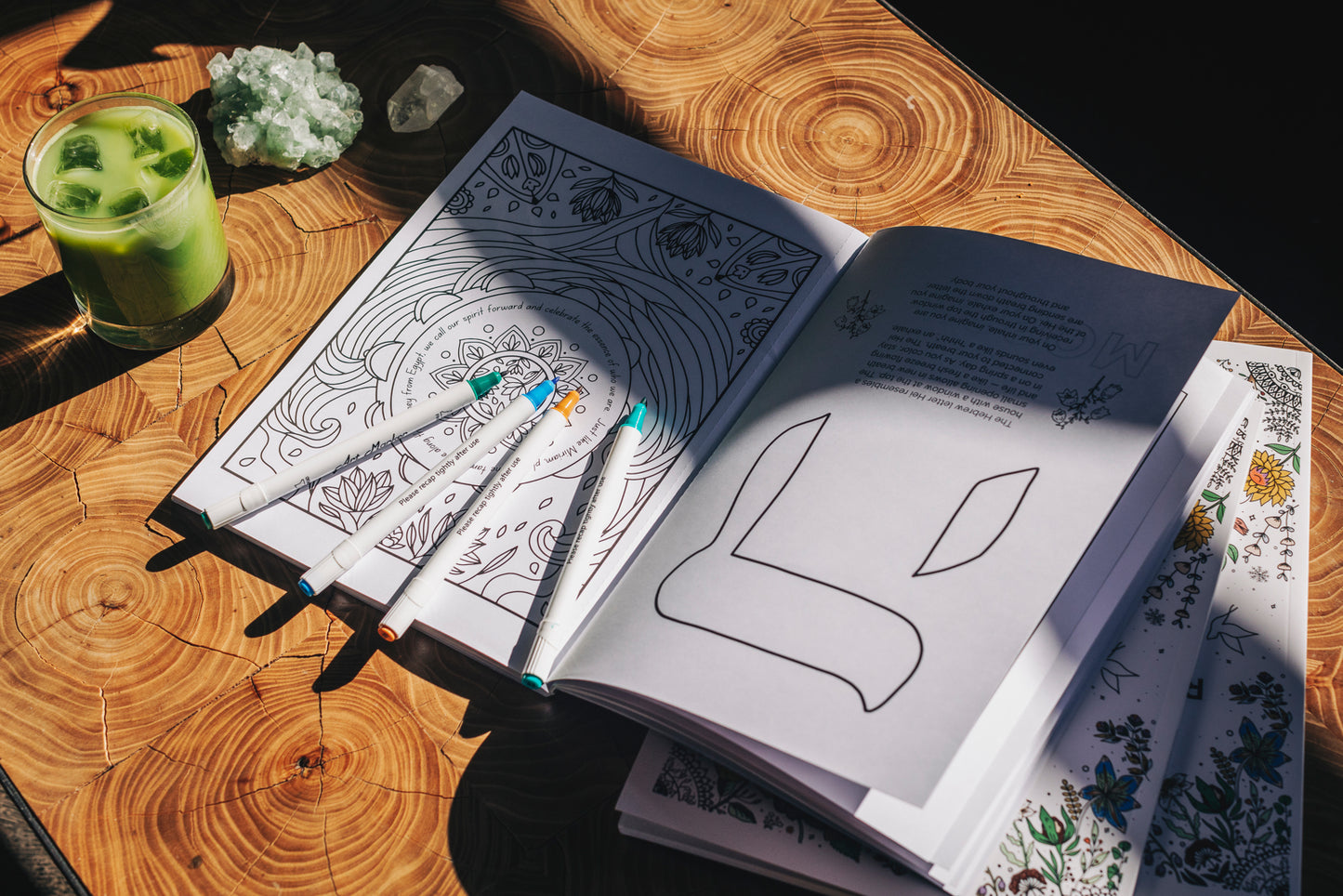Rosh Chodesh: The Coloring Book