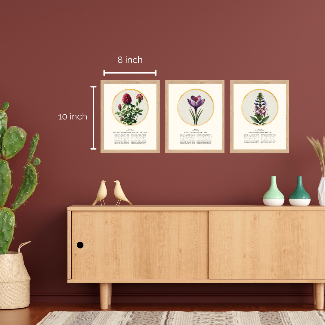 “Red Clover - Botanical of Sivan” Art Print