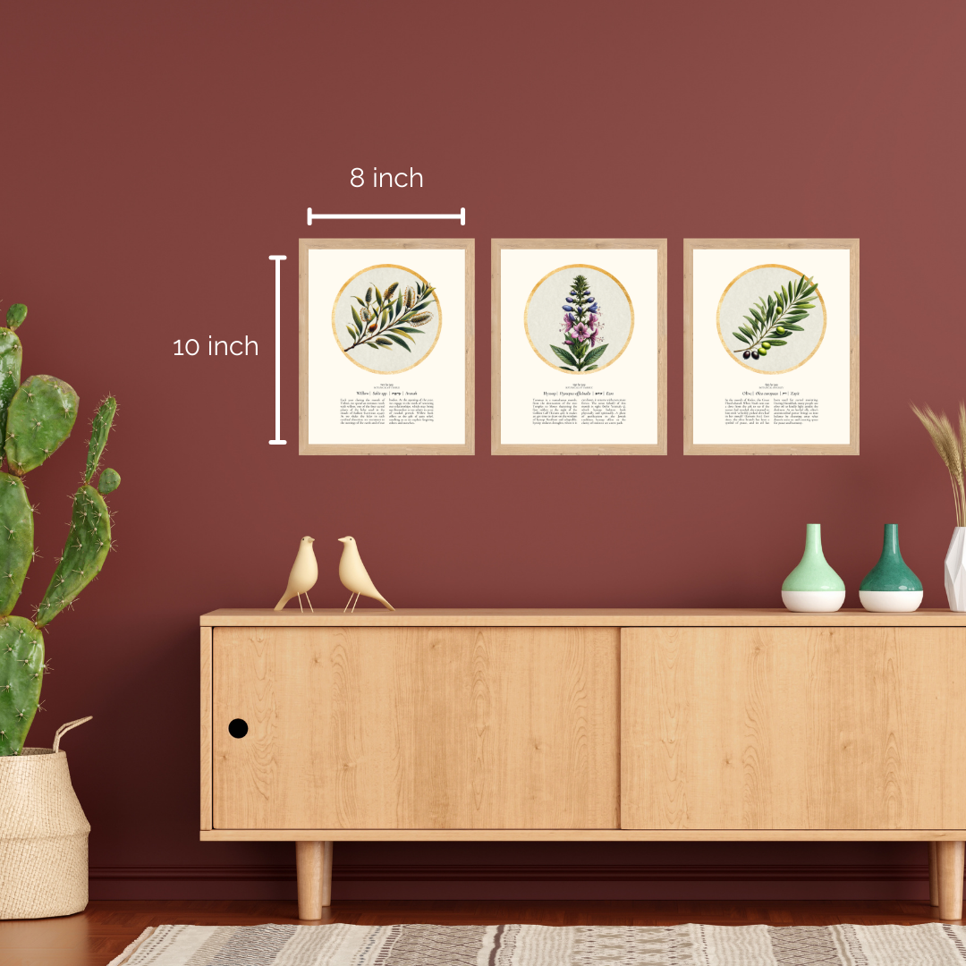 “Willow - Botanical of Tishrei” Art Print