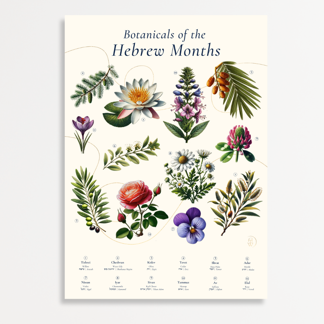 “Botanicals of the Hebrew Months” Art Poster
