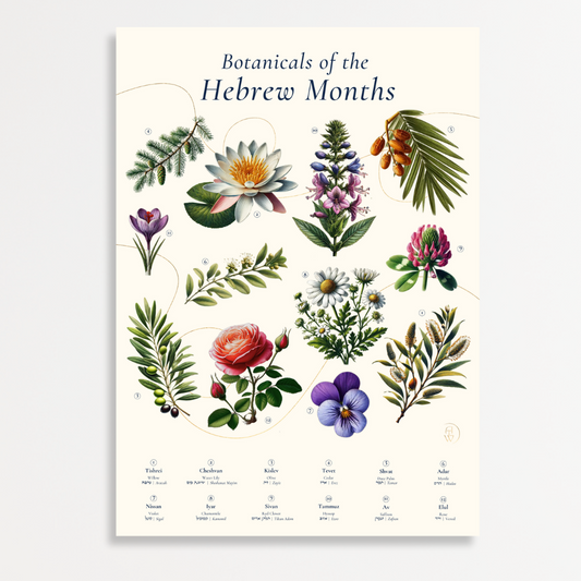 “Botanicals of the Hebrew Months” Art Poster