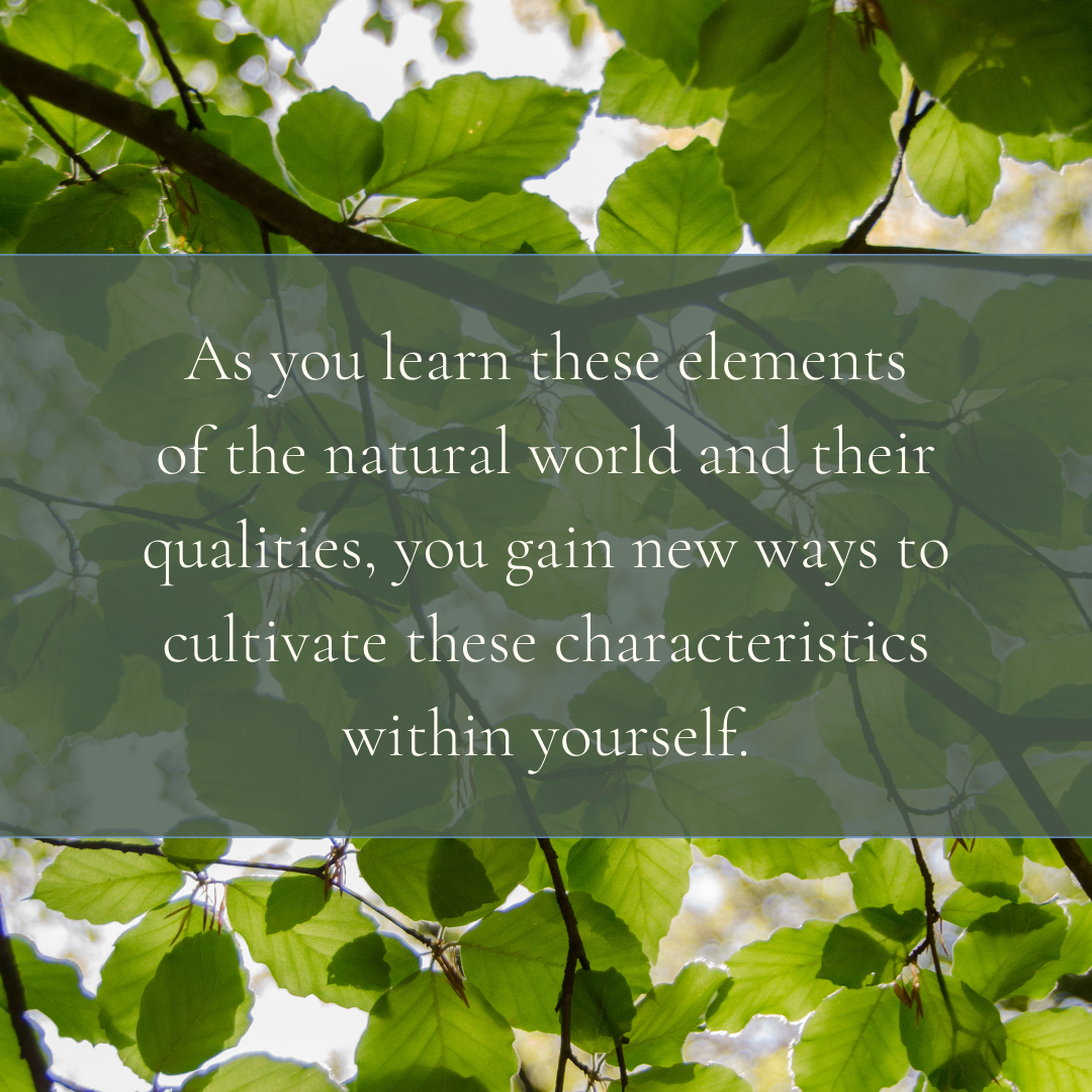 The Four Elements: An Embodied Approach - Digital Course