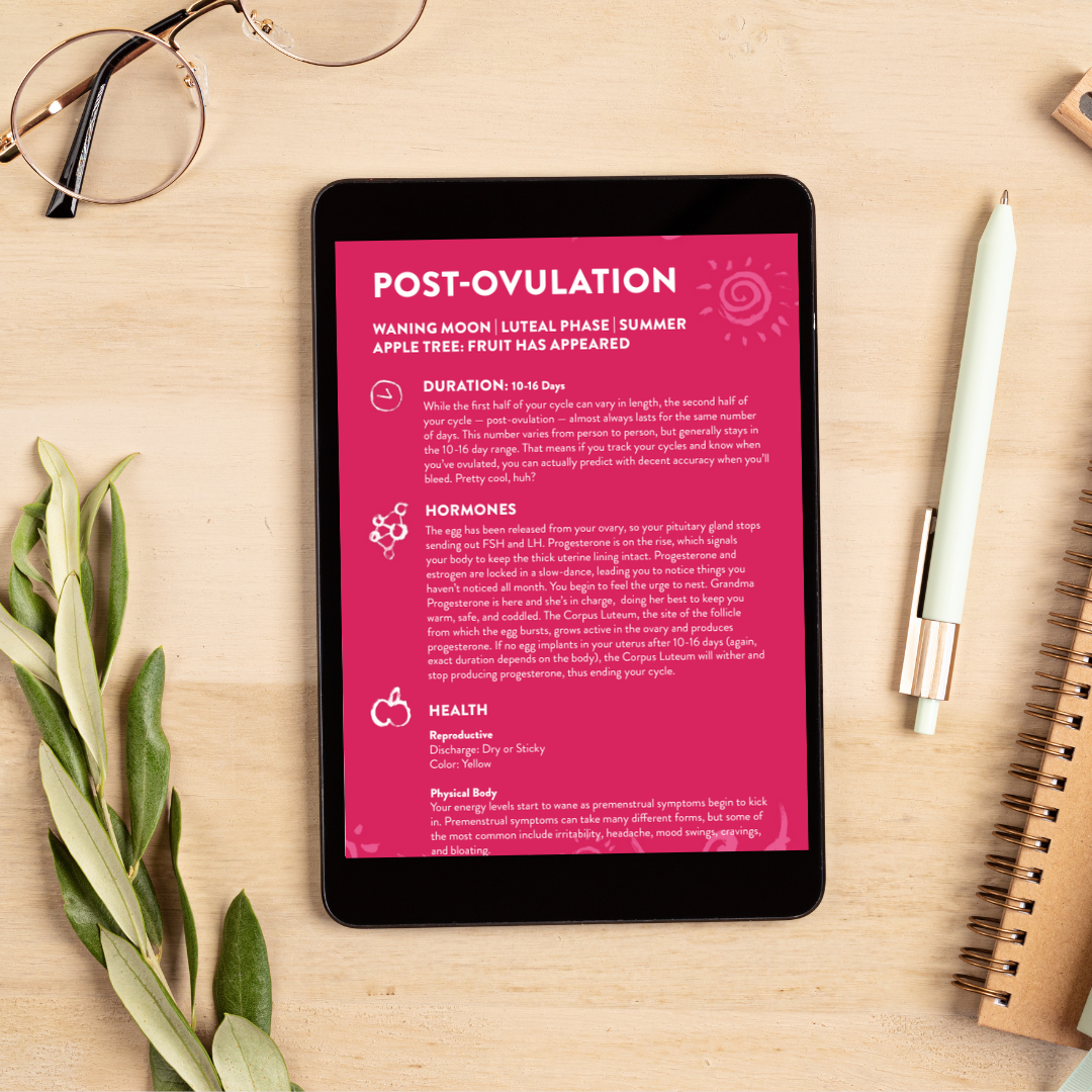 Wrestling With Menstruation - Digital Download