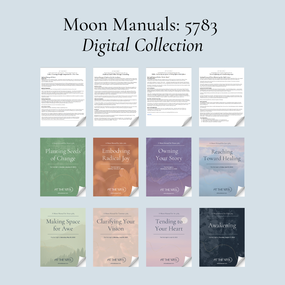 Moon Manuals: 5783 Digital Collection