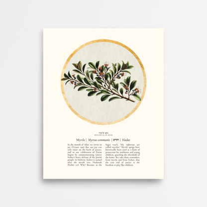 “Myrtle - Botanical of Adar” Art Print