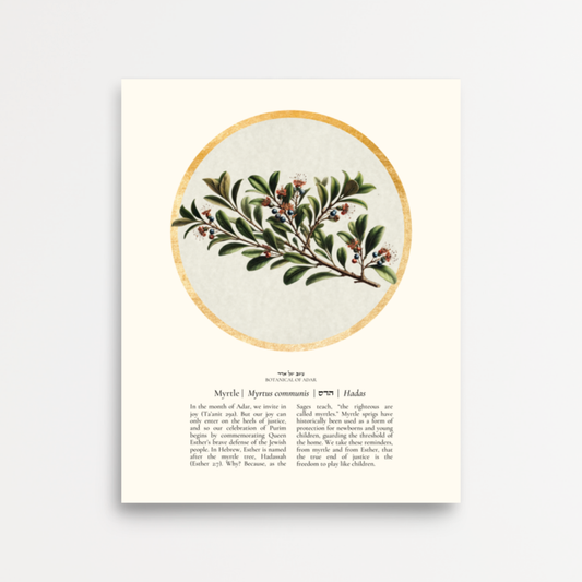 “Myrtle - Botanical of Adar” Art Print