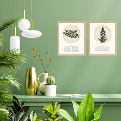 “Myrtle - Botanical of Adar” Art Print