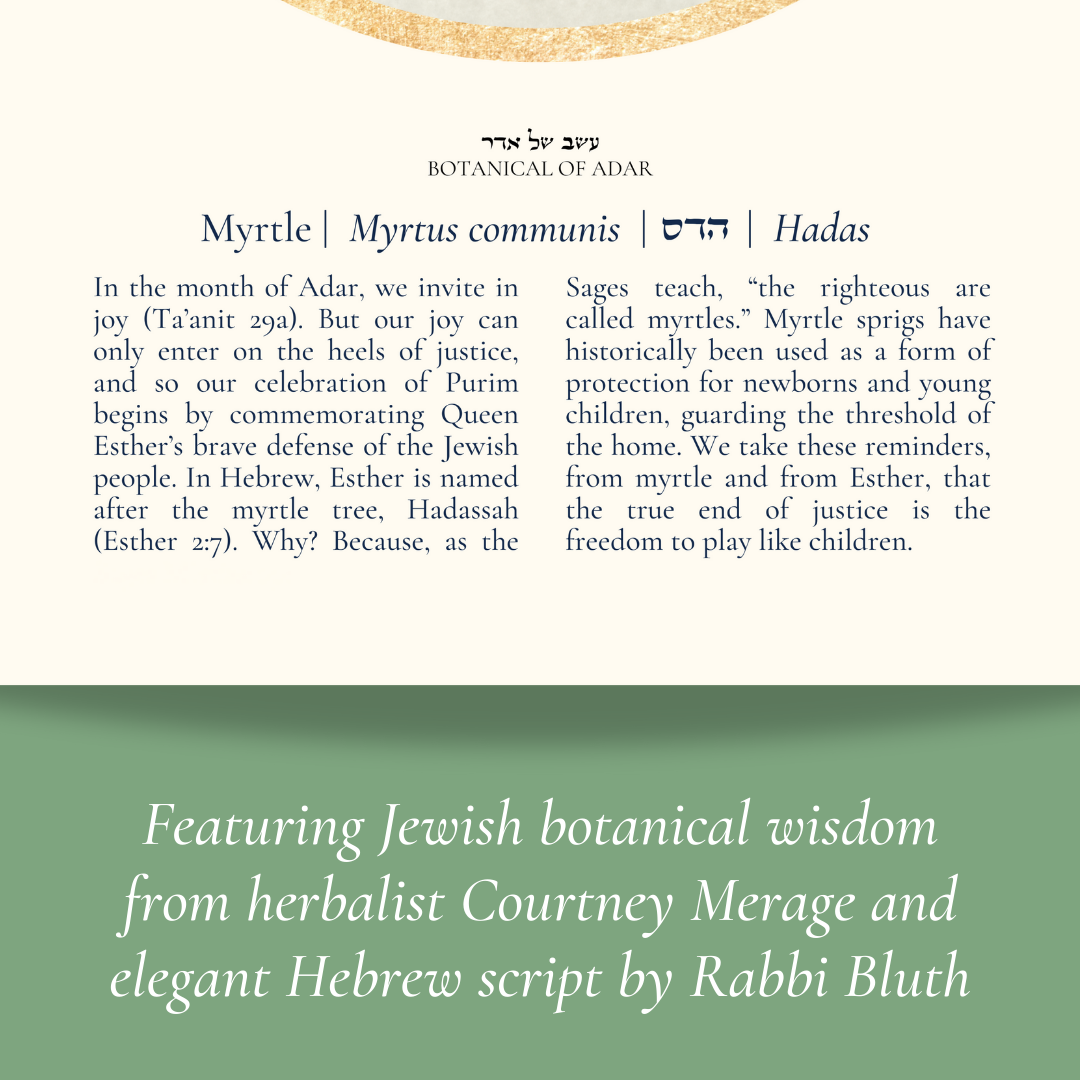 “Myrtle - Botanical of Adar” Art Print
