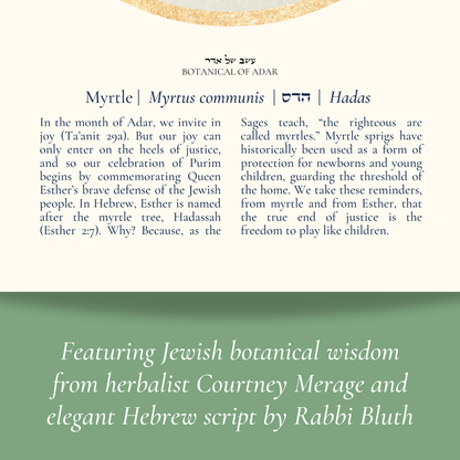 “Myrtle - Botanical of Adar” Art Print