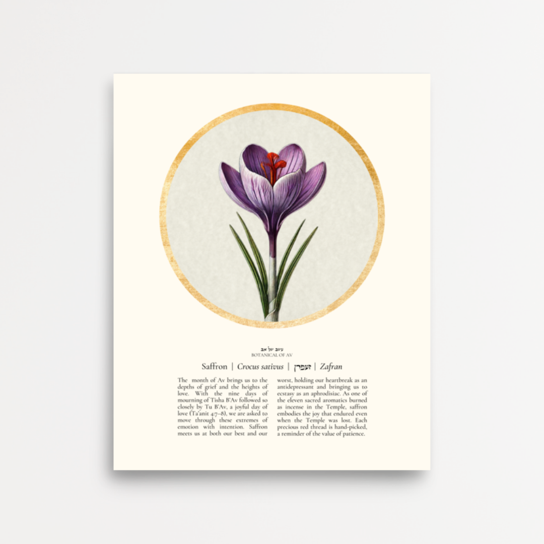 “Saffron - Botanical of Av” Art Print