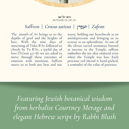 “Saffron - Botanical of Av” Art Print