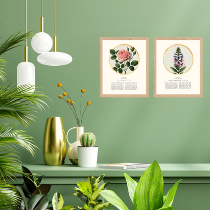 “Rose - Botanical of Elul” Art Print