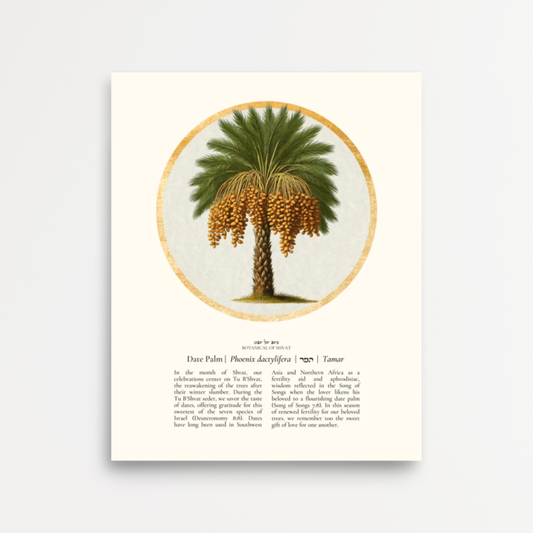 “Date Palm - Botanical of Shvat” Art Print