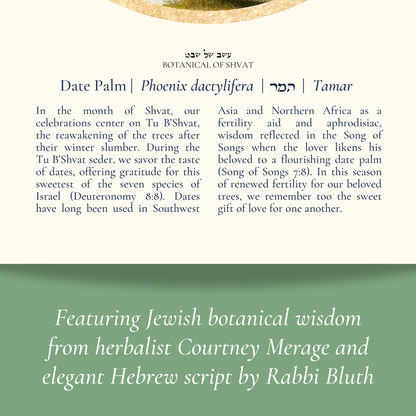 “Date Palm - Botanical of Shvat” Art Print