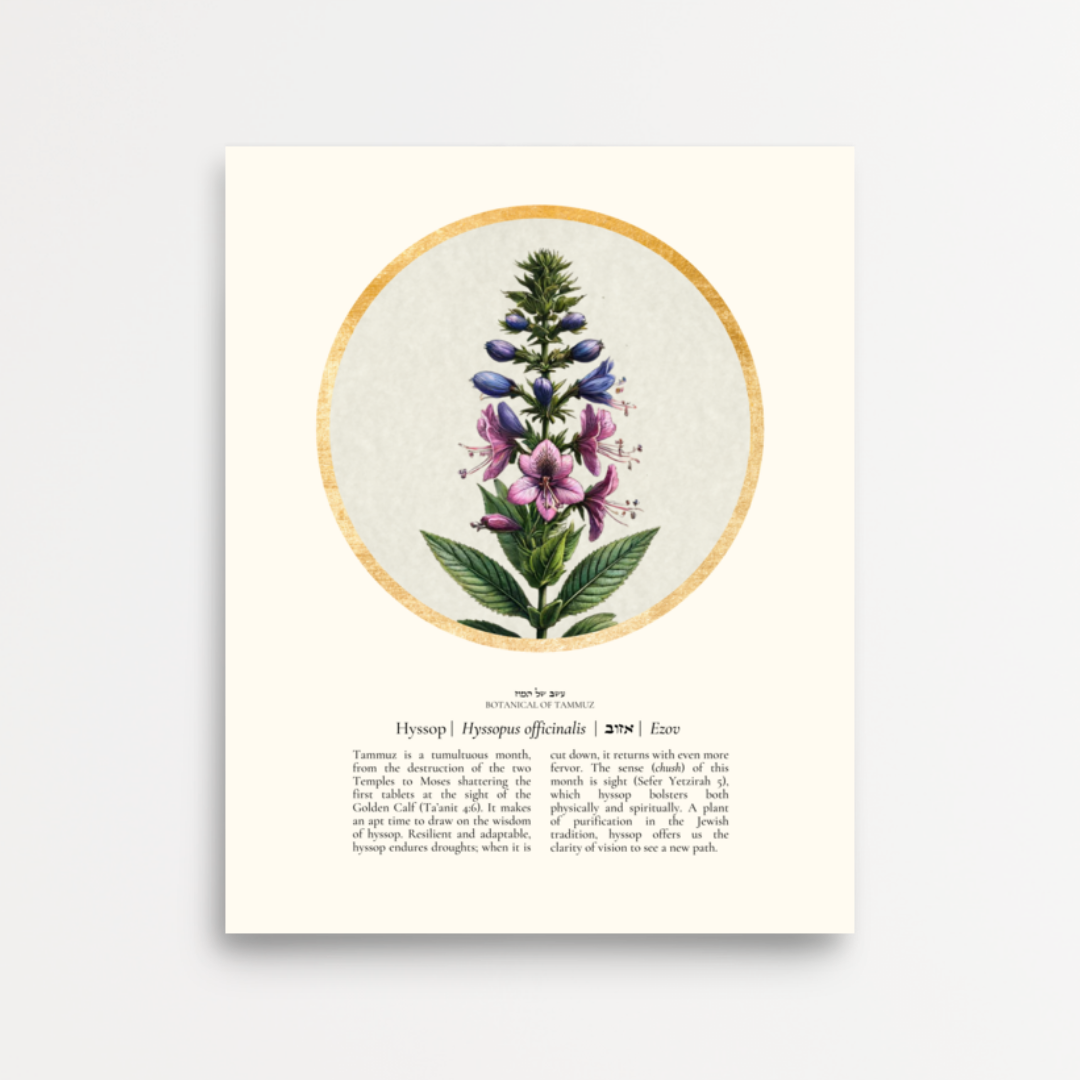“Hyssop - Botanical of Tammuz” Art Print