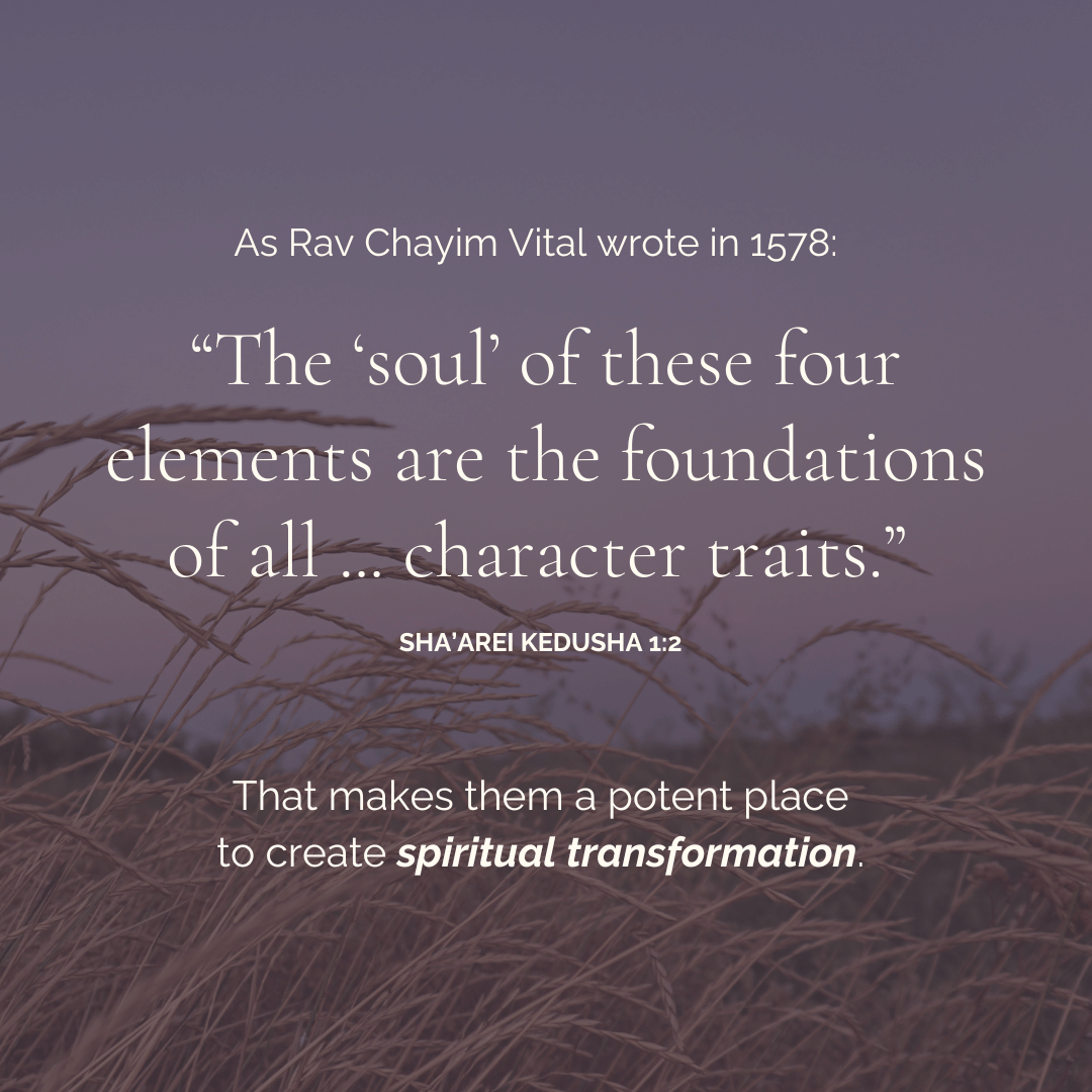 The Four Elements: An Embodied Approach - Digital Course