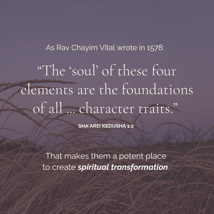 The Four Elements: An Embodied Approach - Digital Course